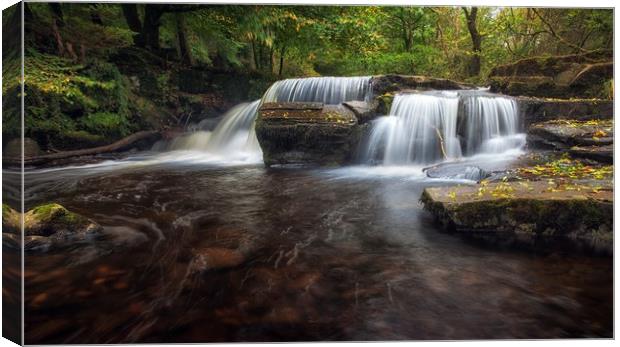 Pont Cwmyfedwen waterfall Canvas Print by Leighton Collins