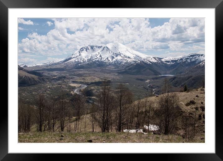 Mount St. Helens Framed Mounted Print by Janet Mann
