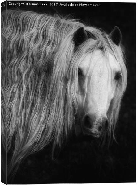 Wild Beauty Canvas Print by Simon Rees