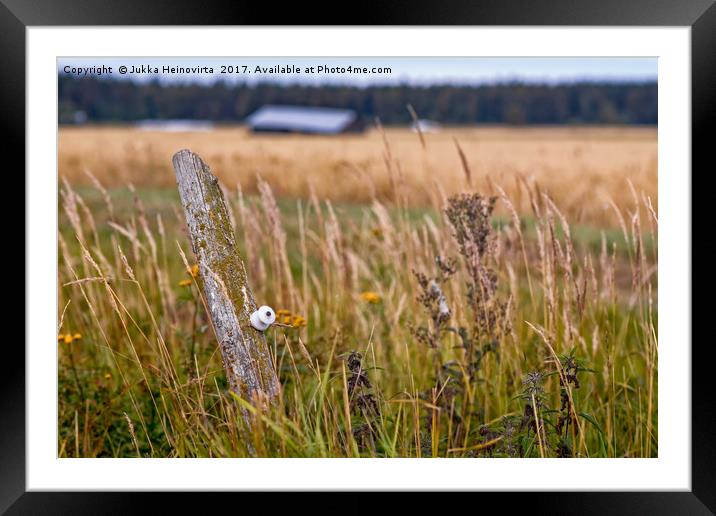 Lonely Pole In The Fields Framed Mounted Print by Jukka Heinovirta