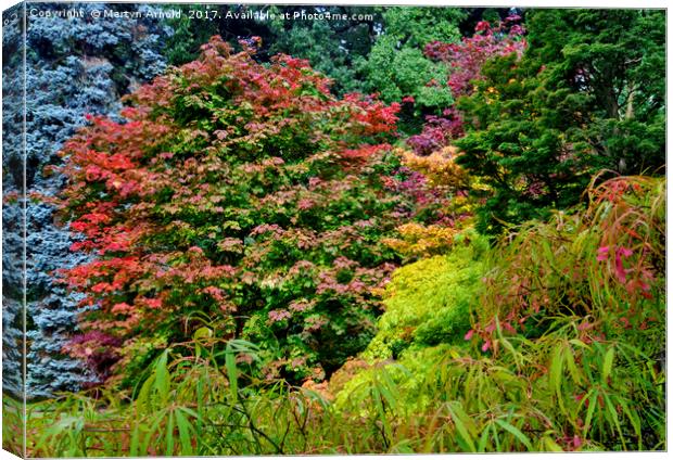 Autumn Colours at Thorp Perrow Canvas Print by Martyn Arnold