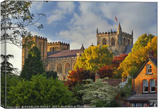 "Evening light on Ripon Cathedral" Canvas Print by ROS RIDLEY