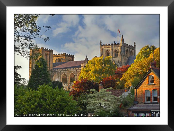 "Evening light on Ripon Cathedral" Framed Mounted Print by ROS RIDLEY