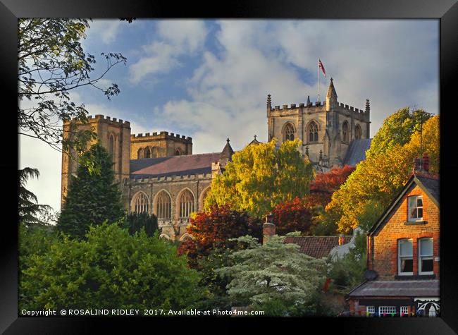 "Evening light on Ripon Cathedral" Framed Print by ROS RIDLEY