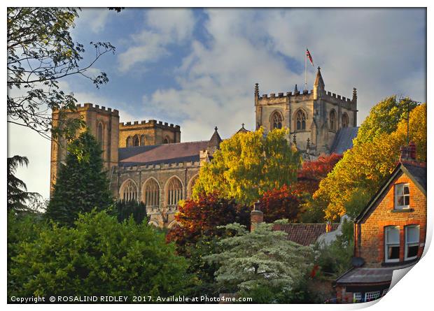 "Evening light on Ripon Cathedral" Print by ROS RIDLEY