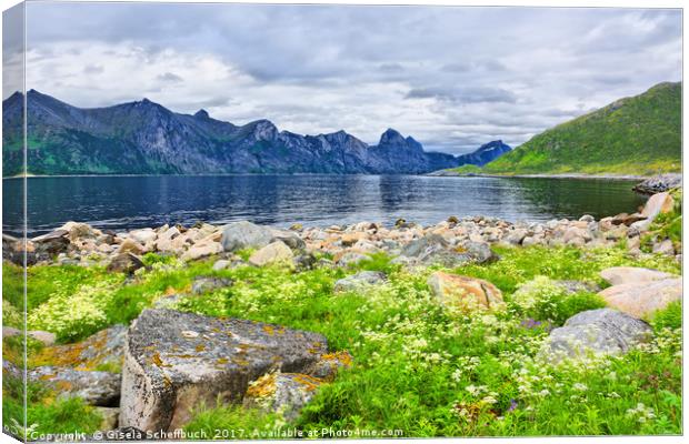 Mefjorden on the Island of Senja Canvas Print by Gisela Scheffbuch