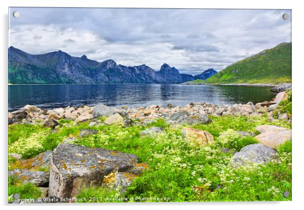 Mefjorden on the Island of Senja Acrylic by Gisela Scheffbuch