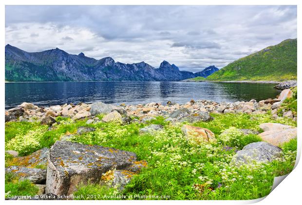 Mefjorden on the Island of Senja Print by Gisela Scheffbuch