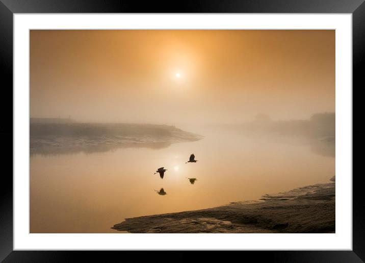 Herons Over the River Darent Framed Mounted Print by Adrian Campfield