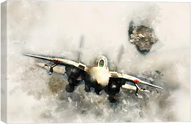 VF-102 F-14 Tomcat - Painting Canvas Print by J Biggadike