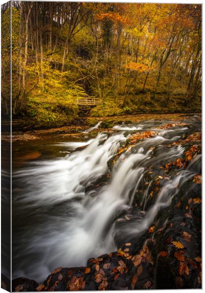 Autumn Waterfall - Wales Canvas Print by Jonathan Smith