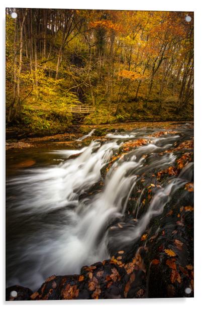 Autumn Waterfall - Wales Acrylic by Jonathan Smith