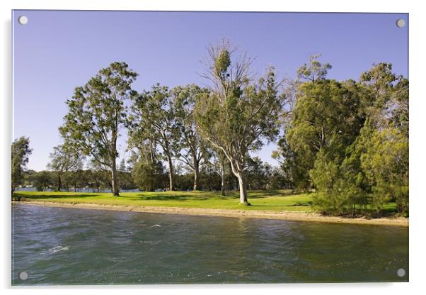 Waterfront park with Gum Trees Acrylic by Geoff Childs