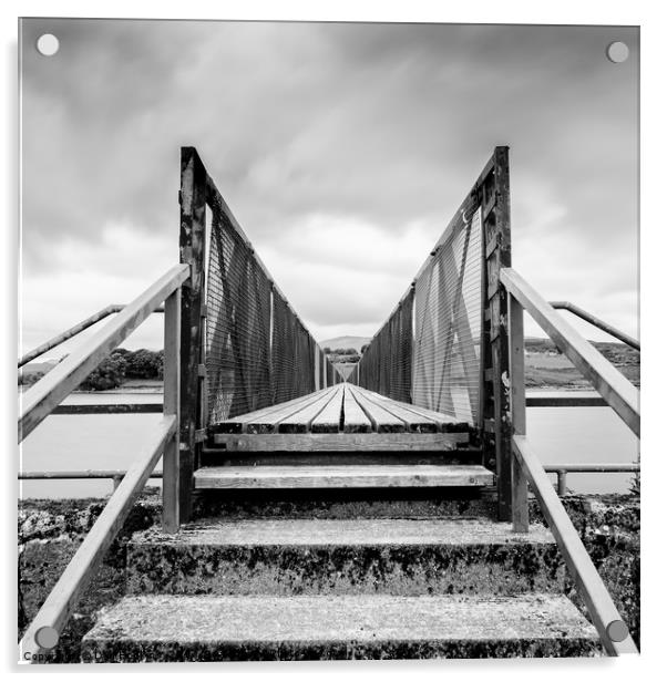 Llyn Trawsfynydd bridge  Acrylic by Dan Hopkins