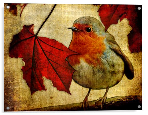 Robin and Red Leaves, Christmas... Acrylic by K. Appleseed.