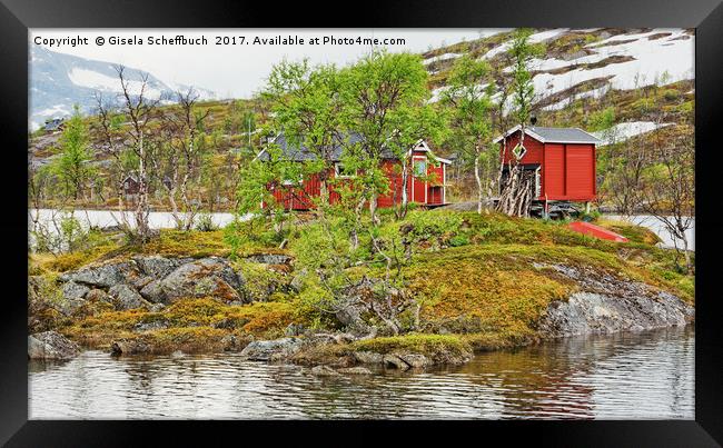 Norwegian Cabins Framed Print by Gisela Scheffbuch