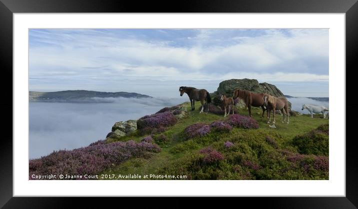Ponies on Mount Conwy, Wales. Framed Mounted Print by Joanne Court
