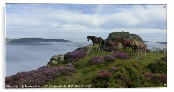 Ponies on Mount Conwy, Wales. Acrylic by Joanne Court