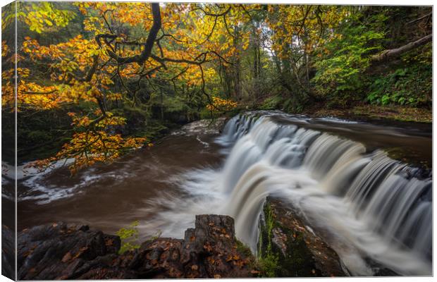 sgwd y pannwr - Autumn Waterfall Wales Canvas Print by Jonathan Smith