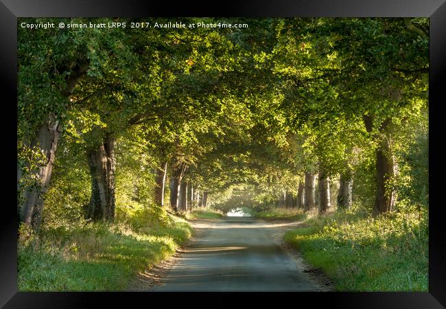 Tree arches over a country lane Framed Print by Simon Bratt LRPS