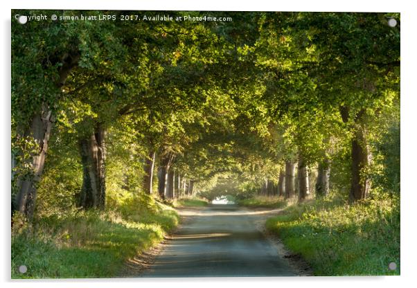 Tree arches over a country lane Acrylic by Simon Bratt LRPS