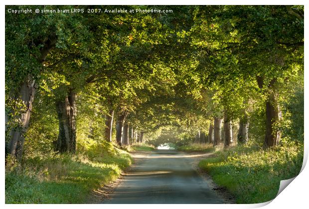 Tree arches over a country lane Print by Simon Bratt LRPS