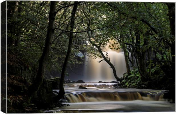 Mystical Stream, Summerhill Force, Bowlees, Upper, Canvas Print by David Forster