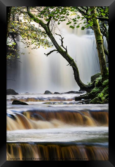 Summerhill Force, Bowlees, Teesdale, County Durham Framed Print by David Forster