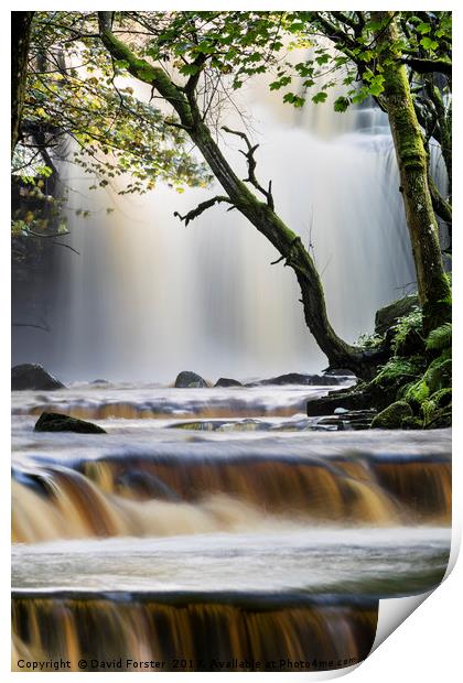 Summerhill Force, Bowlees, Teesdale, County Durham Print by David Forster