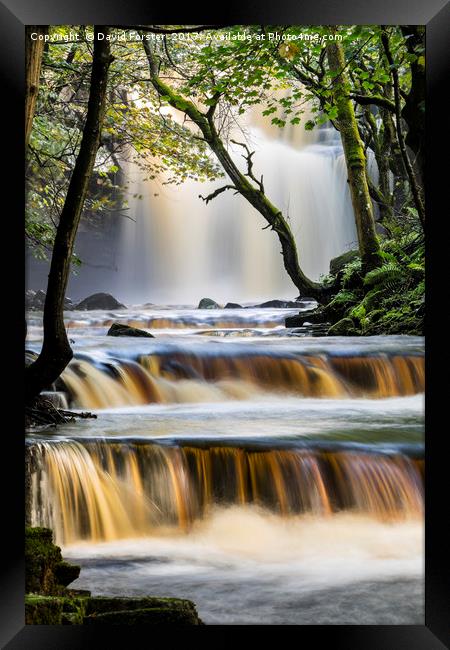 Summerhill Force, Bowlees, Teesdale, County Durham Framed Print by David Forster