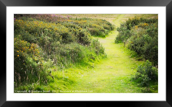 Meadow Path Framed Mounted Print by Svetlana Sewell