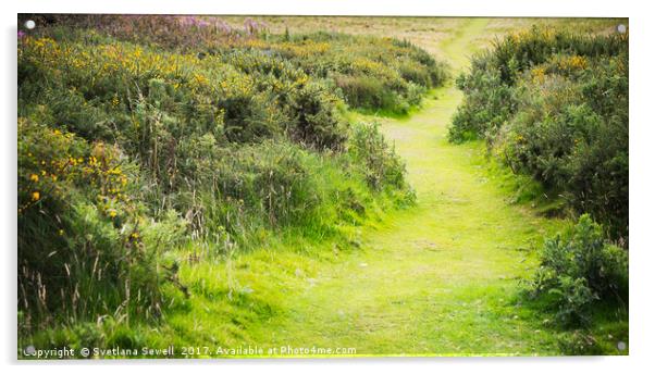 Meadow Path Acrylic by Svetlana Sewell
