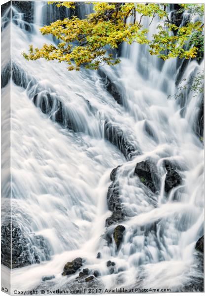 Power of Water Canvas Print by Svetlana Sewell