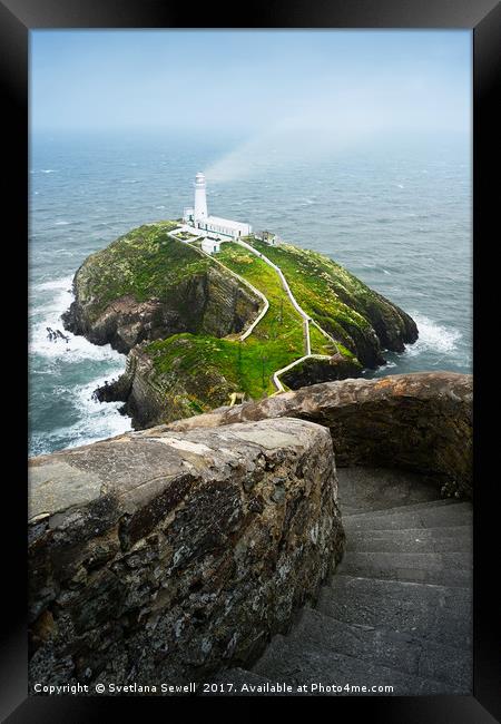 South Stack Lighthouse Framed Print by Svetlana Sewell