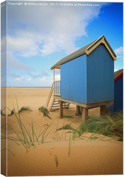 Wells Beach Hut  Canvas Print by Antony Burch
