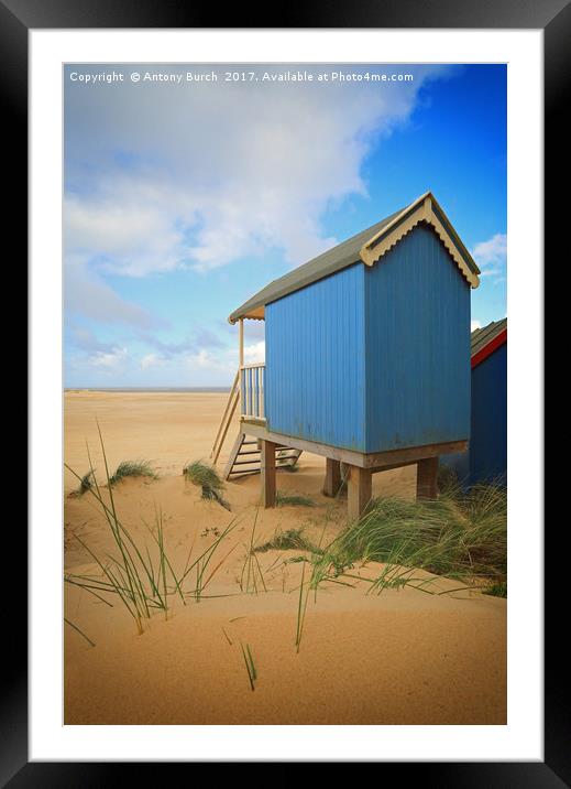 Wells Beach Hut  Framed Mounted Print by Antony Burch