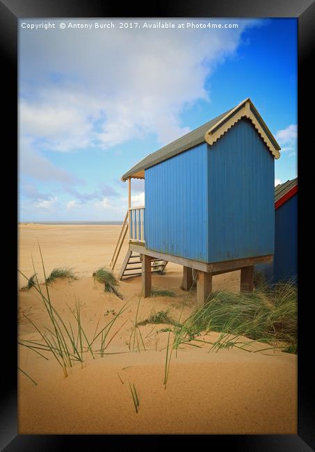 Wells Beach Hut  Framed Print by Antony Burch