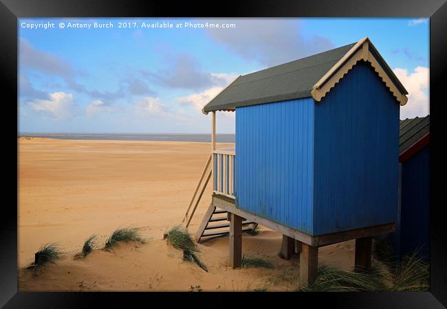 Wells Beach Hut Framed Print by Antony Burch
