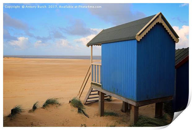 Wells Beach Hut Print by Antony Burch