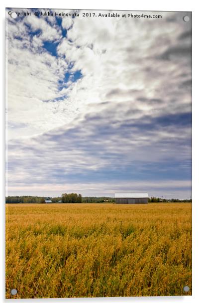 Clouds Over The Oat Fields Acrylic by Jukka Heinovirta