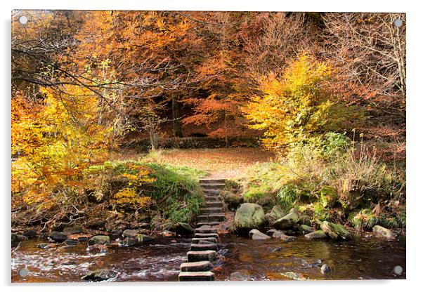 Autumn Colours  Acrylic by Irene Burdell