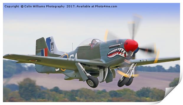 Mustang Scramble - Duxford 2 Crop Print by Colin Williams Photography
