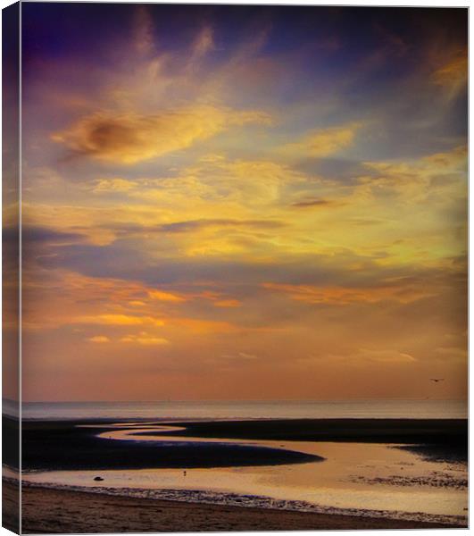 Winding Down the Day Canvas Print by Mike Sherman Photog