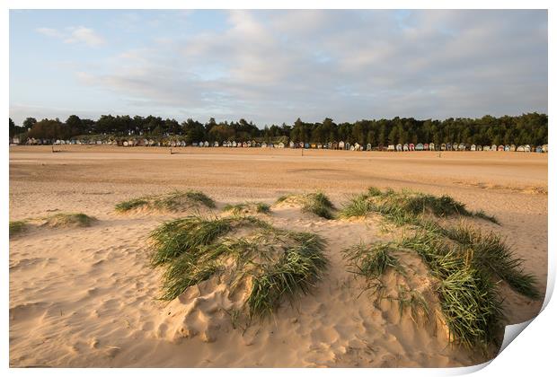 Sand dunes and beach huts at Wells Next the Sea Print by Owen Vachell