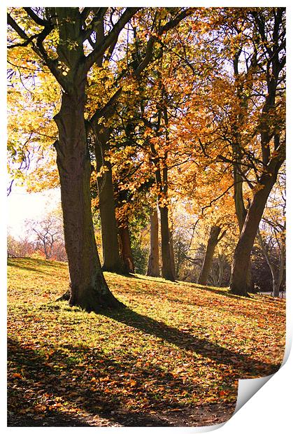 Autumn was here ... Print by Jeanne Goncalves