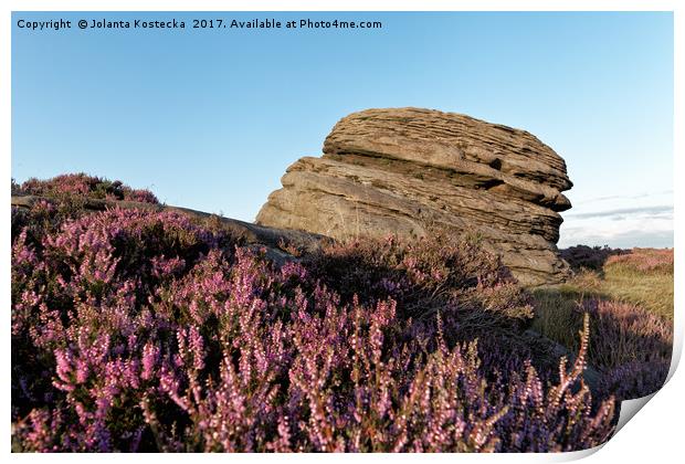 Peak District moors with heather in bloom Print by Jolanta Kostecka