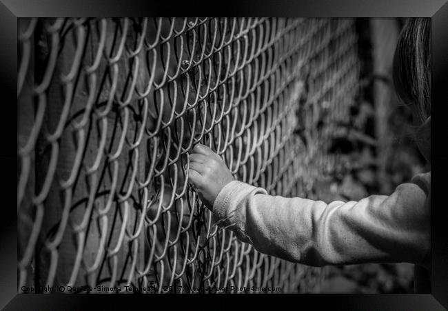 Little girl hand holding fence Framed Print by Daniela Simona Temneanu