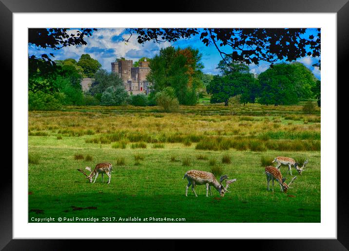        Deer at Powderham Castle           Framed Mounted Print by Paul F Prestidge