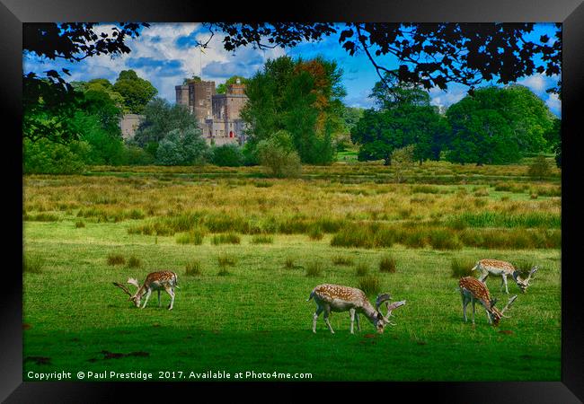        Deer at Powderham Castle           Framed Print by Paul F Prestidge