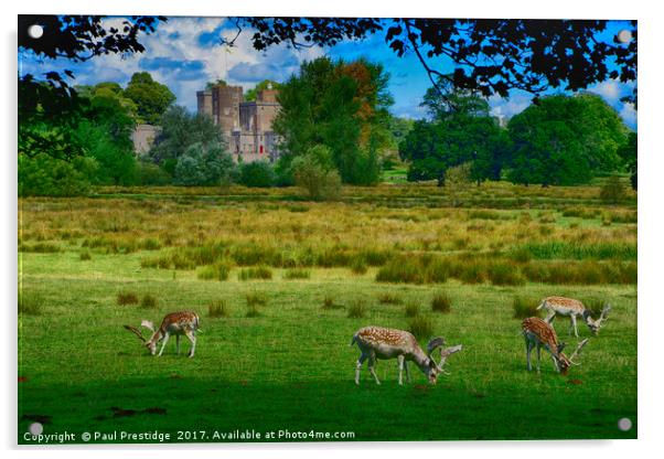        Deer at Powderham Castle           Acrylic by Paul F Prestidge
